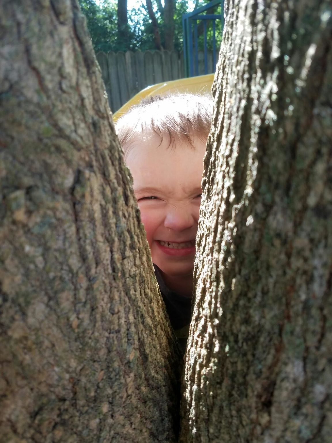 About Us Growing Tree Learning Center